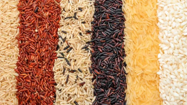 Several types of rice laid out in rows next to each other