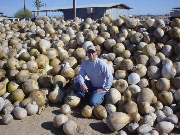 Facts on All the Crops We Grow