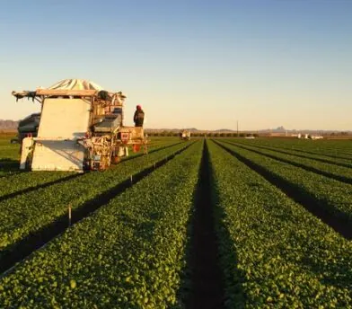 Facts on Preharvest Intervals