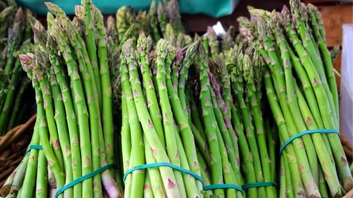 Bundles of asparagus at a farm stand