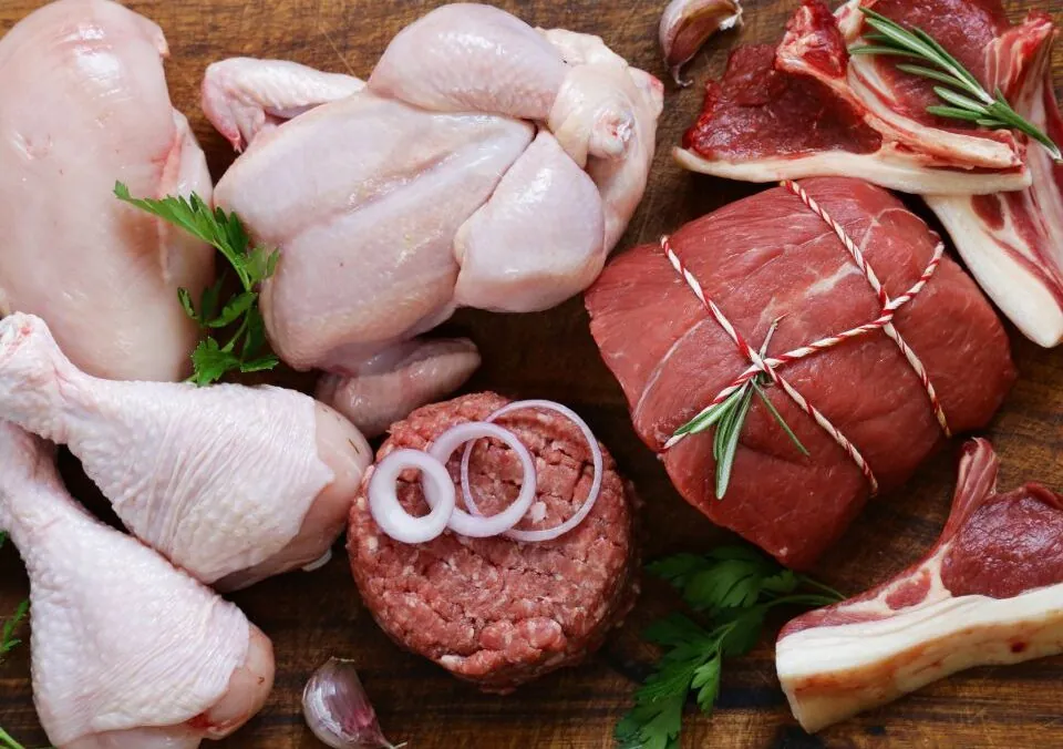 Exploring the Carnivore Diet: A Meat-Lover’s Paradise or Nutritional Mirage?