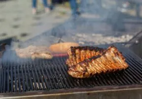 Why Pork Back Ribs Deserve a Spot on Every Grill