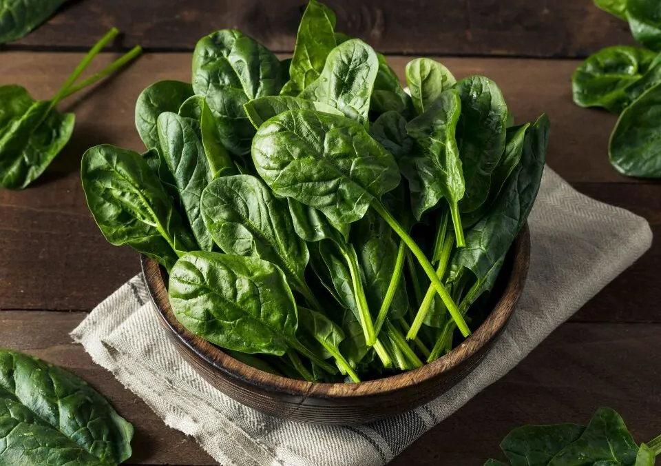 The Raw Spinach Morning Trend: A Closer Look at the Hype