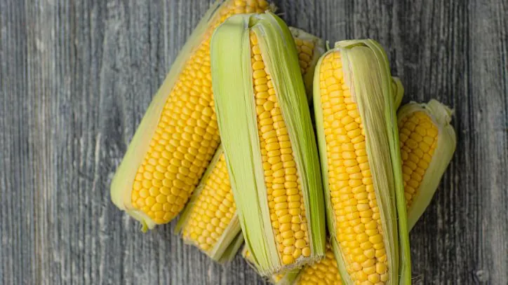 6 ears of corn