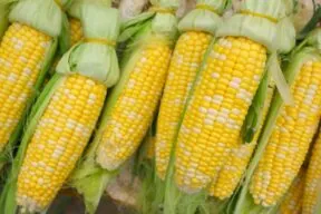 What Nutrition Does Corn Have? Kernel by Kernel