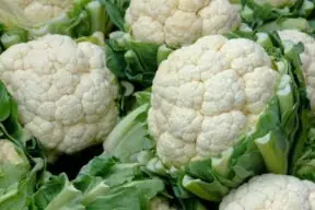 What Nutrition Does Cauliflower Have: The Culinary Chameleon