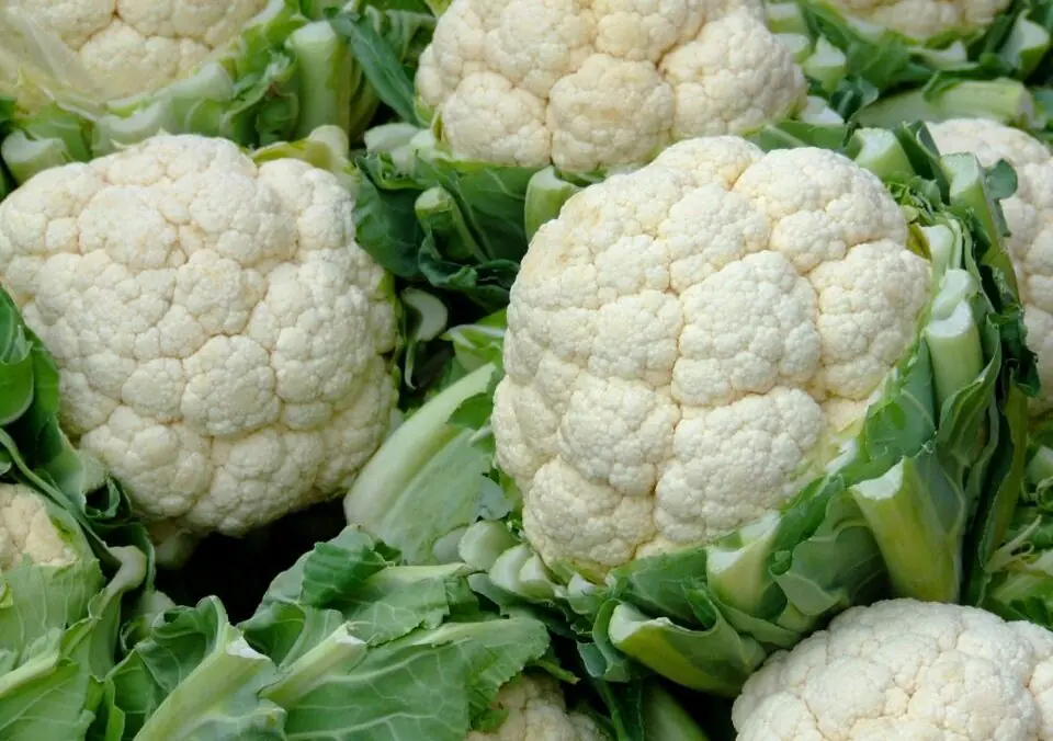 What Nutrition Does Cauliflower Have: The Culinary Chameleon