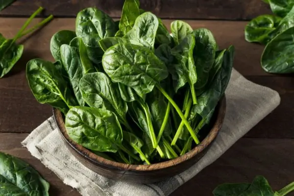 What Nutrition Does Spinach Have: Unpacking Spinach’s Health Benefits and Arizona’s Agricultural Legacy