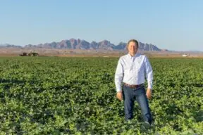 Crop Protection from Insect Pests: How Farmers Win the War on Bugs