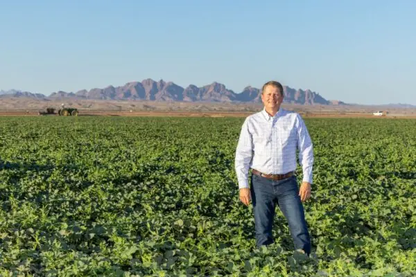 Crop Protection from Insect Pests: How Farmers Win the War on Bugs