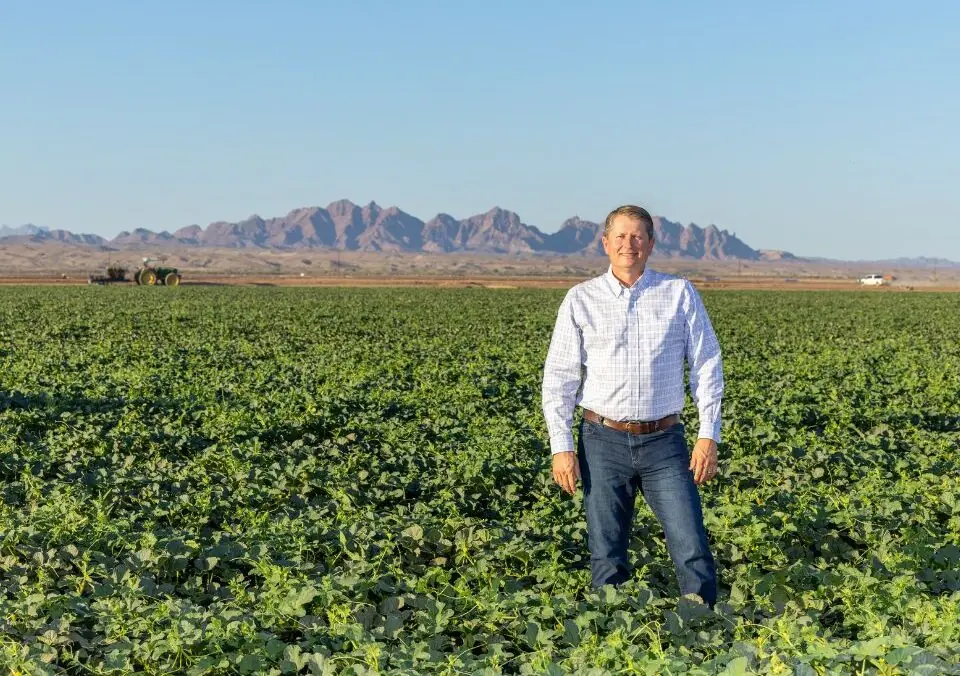 Crop Protection from Insect Pests: How Farmers Win the War on Bugs