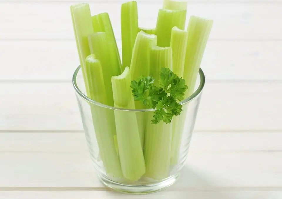What Nutrition Does Celery Have: The Game Day Crunch That Quietly Pulls Its Weight