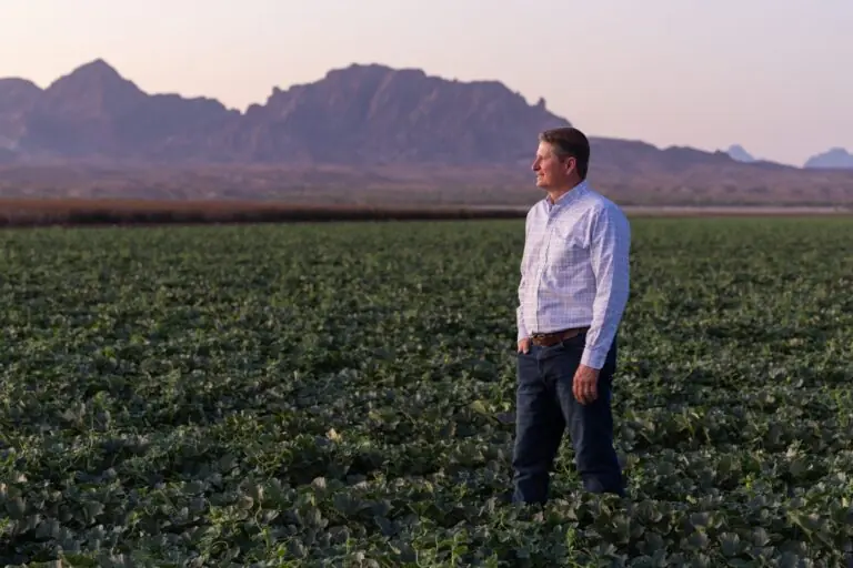 Man standing in a field of greens growing in Arizona