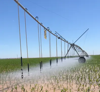 Both Methods of Farming, Arizona Organic and Traditional Farming are more alike