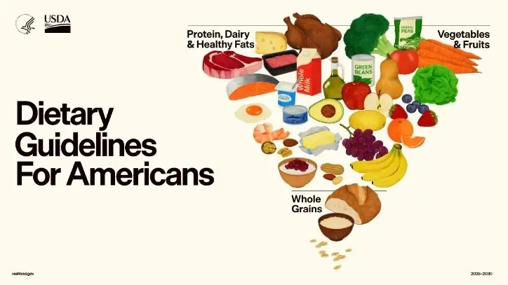 The new inverted food pyramid