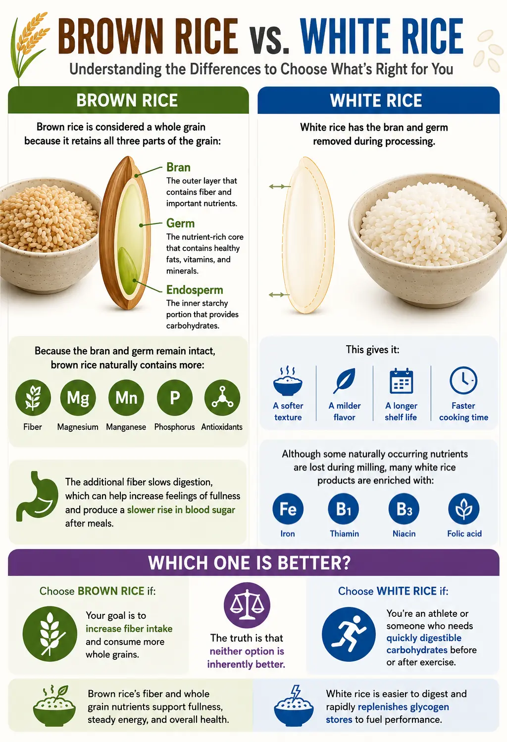 infographic depicting the difference between white and brown rice