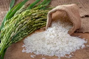 What Nutrition Does Rice Have? A Complete Guide to Rice’s Nutritional Value
