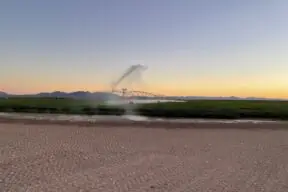 How Farmers Use Cool Hours Irrigation to Conserve Water and Grow Your Food