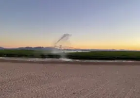 How Farmers Use Cool Hours Irrigation to Conserve Water and Grow Your Food