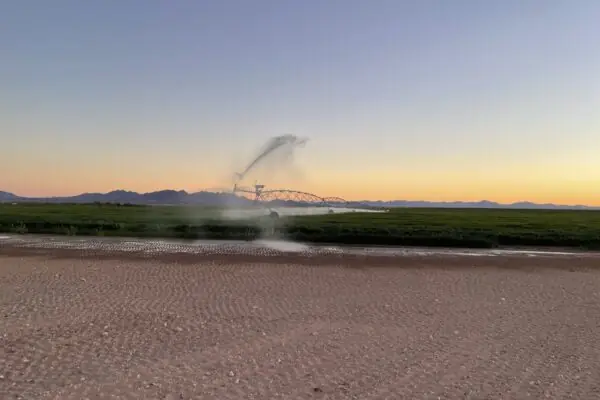 How Farmers Use Cool Hours Irrigation to Conserve Water and Grow Your Food