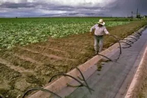 The Water in Your Salad Bowl: Why New Farm Water Matters to Every Arizona Table