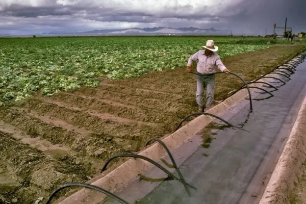 The Water in Your Salad Bowl: Why New Farm Water Matters to Every Arizona Table