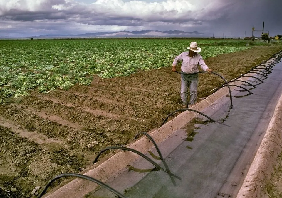 The Water in Your Salad Bowl: Why New Farm Water Matters to Every Arizona Table