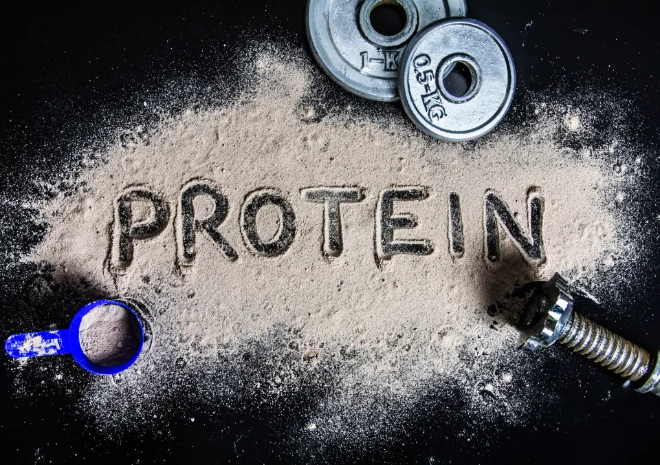 Protein Is in Everything Now: Do We Really Need More of It?